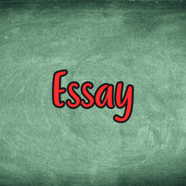 Essay Writing